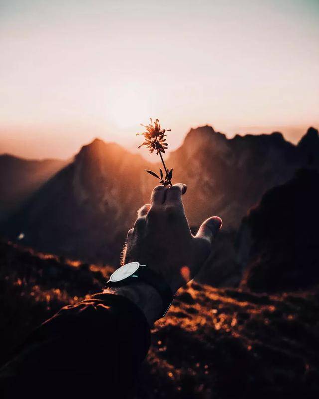 11.认识是天堂的意志，相识是人类的意志，增添是友谊，有情就有意。我们可以聚在一起，因为我们的心是明亮的。
