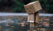 对老婆失望了的句子