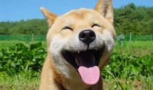 超搞笑的20句经典句子