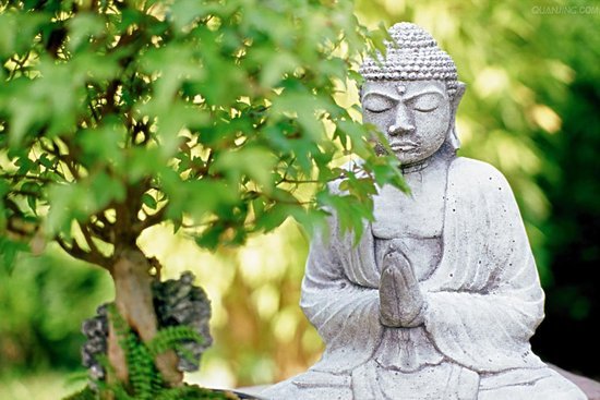 20达摩与禅宗关于男人的说法（4）