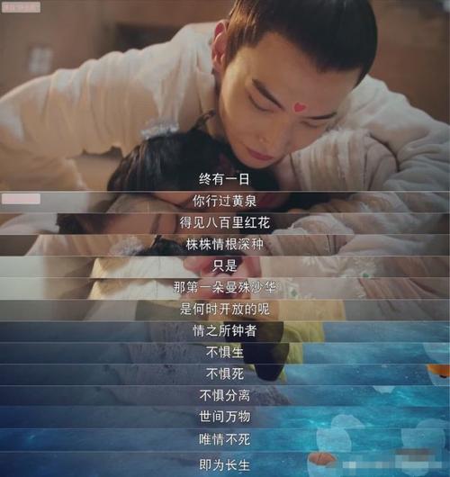 灵魂渡轮行情