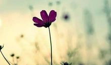 那些温暖人心的句子