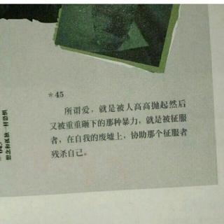 宝贝安妮行情