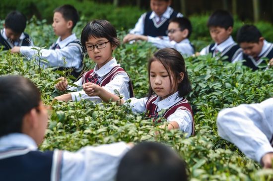 15.我必须努力学习，兑现自己的诺言，并获得曾经的光彩。 -黄Kun