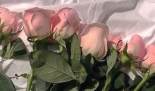 经典伤感句子大全 句句让人心痛的伤感说说语录