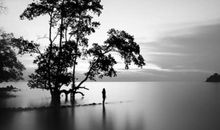 亲情太虚伪的句子