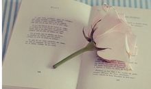 优美的句子摘抄 好句子摘抄