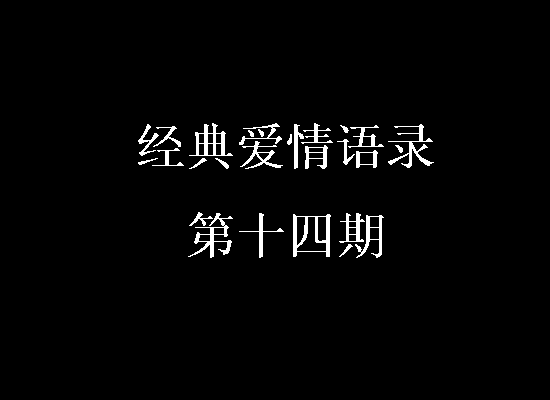 经典爱情行情第13期