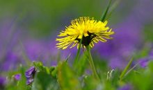 祝愿开心快乐的句子