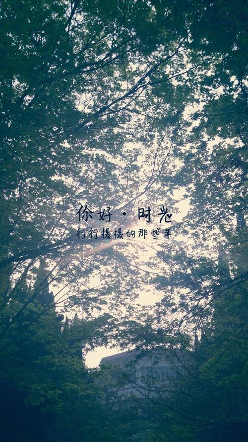 致亲情的唯美句子简短 1