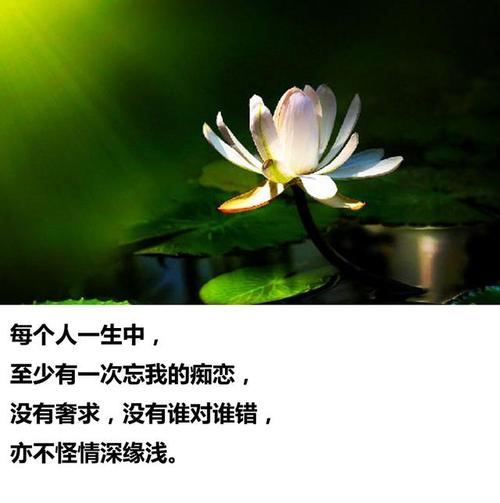 命运行情