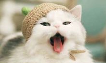 关于开心的座右铭