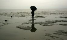 关于静心的座右铭