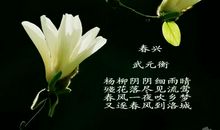 形容春花的诗句