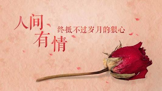 审美幸福句子