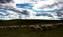 关于永恒的座右铭