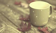 关于平淡的句子