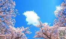 工作开心努力的句子说说心情短语