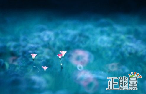 心静无争的句子 1