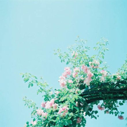 值得留念的亲情句子 2