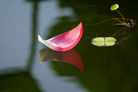 启蒙句子1