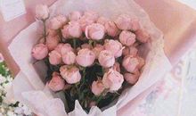 赞美血缘亲情的句子