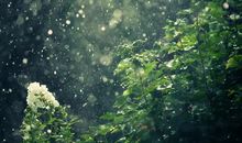 描写初秋下雨心烦句子