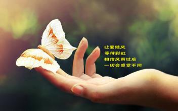 审美句子等待