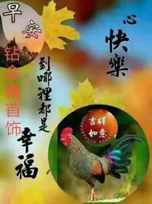 朋友问候