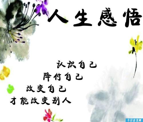 关于反思的著名格言