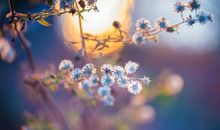 2016广告语大全集公益