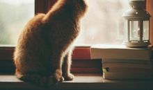 男朋友希望我开心的句子