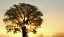 形容工作繁重又开心的句子