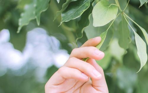珍惜亲情的句子英文