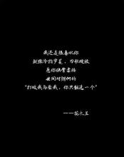 个人情感语录