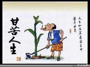 关于享受生活的名言