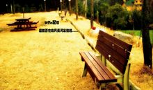 回首的伤感句子