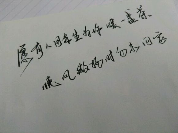 美丽的图片聊天