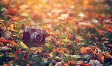 关于优美的句子大全