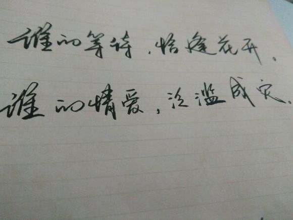 美丽的谈话与图片6