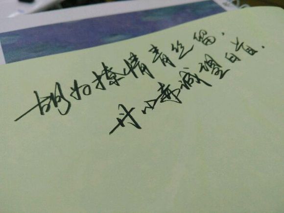 漂亮的谈话与图片7