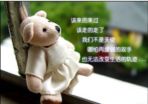 爱使我明白美丽的句子