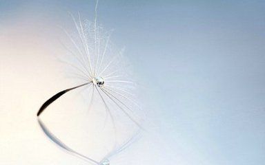 有关亲情血浓于水的句子 1