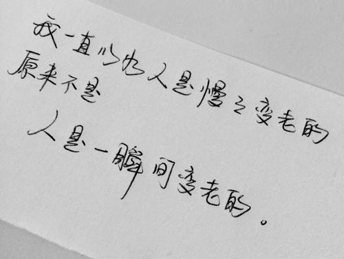 情感行情2015