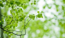 议论赞美亲情的句子