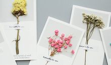 关于亲情细腻的句子