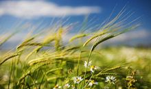 和死党开心的句子说说心情