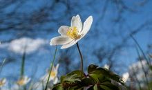 和男朋友在一起开心的句子