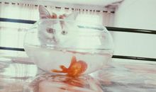 安慰朋友要开心的句子、暖心的句子