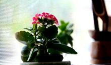 形容在一起玩就很开心的句子